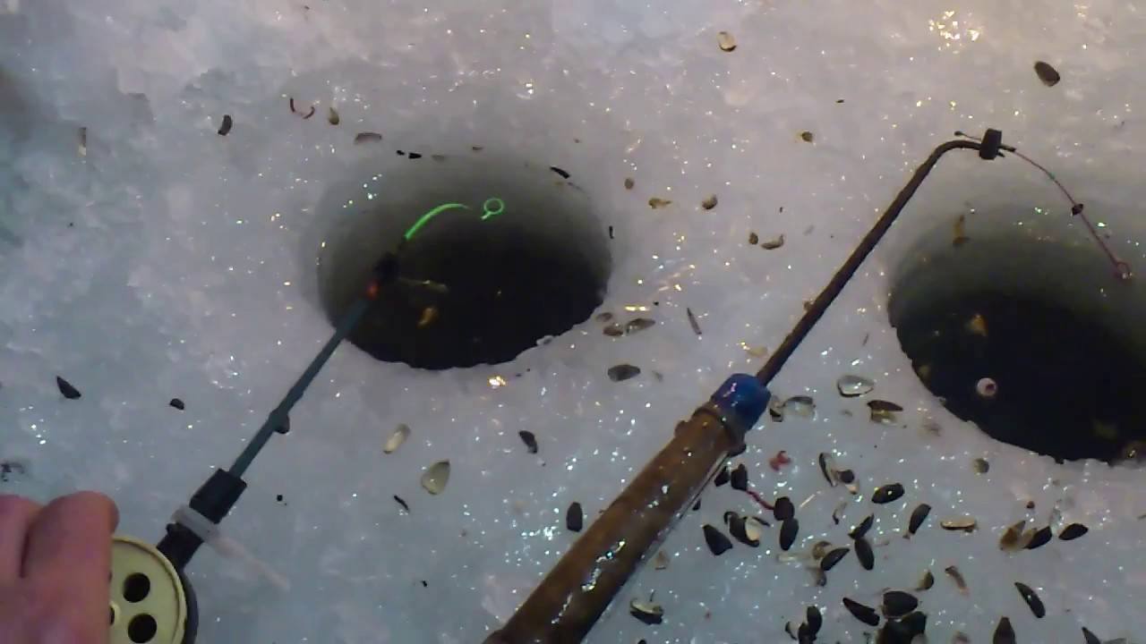 Ловля карася на пруду зимой | советы по выбору приманок и технике