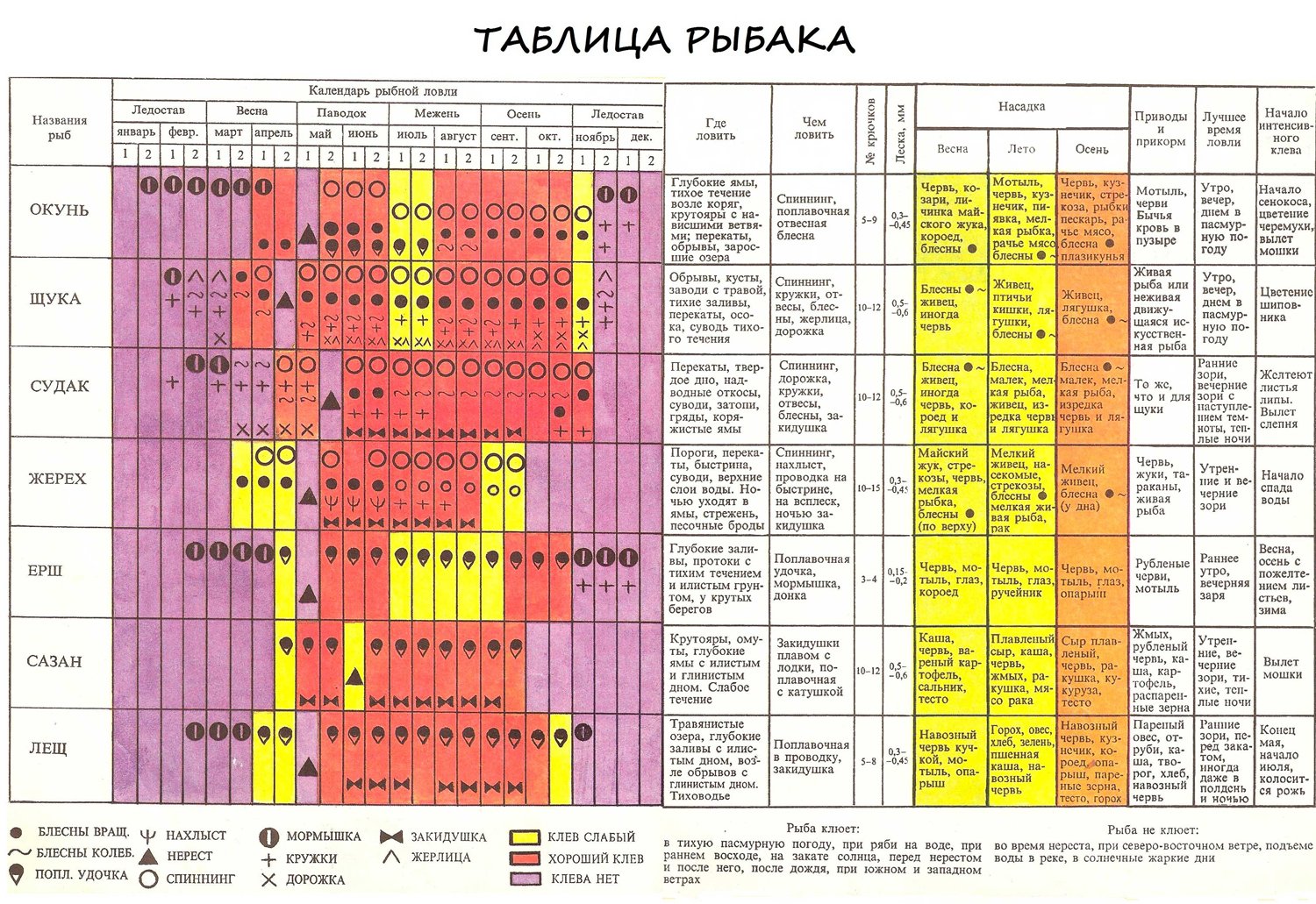 Рыба щука