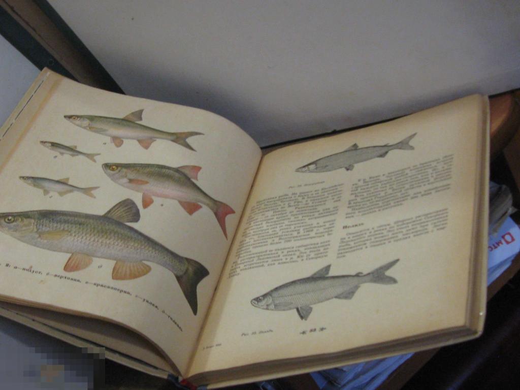 Скачать книги