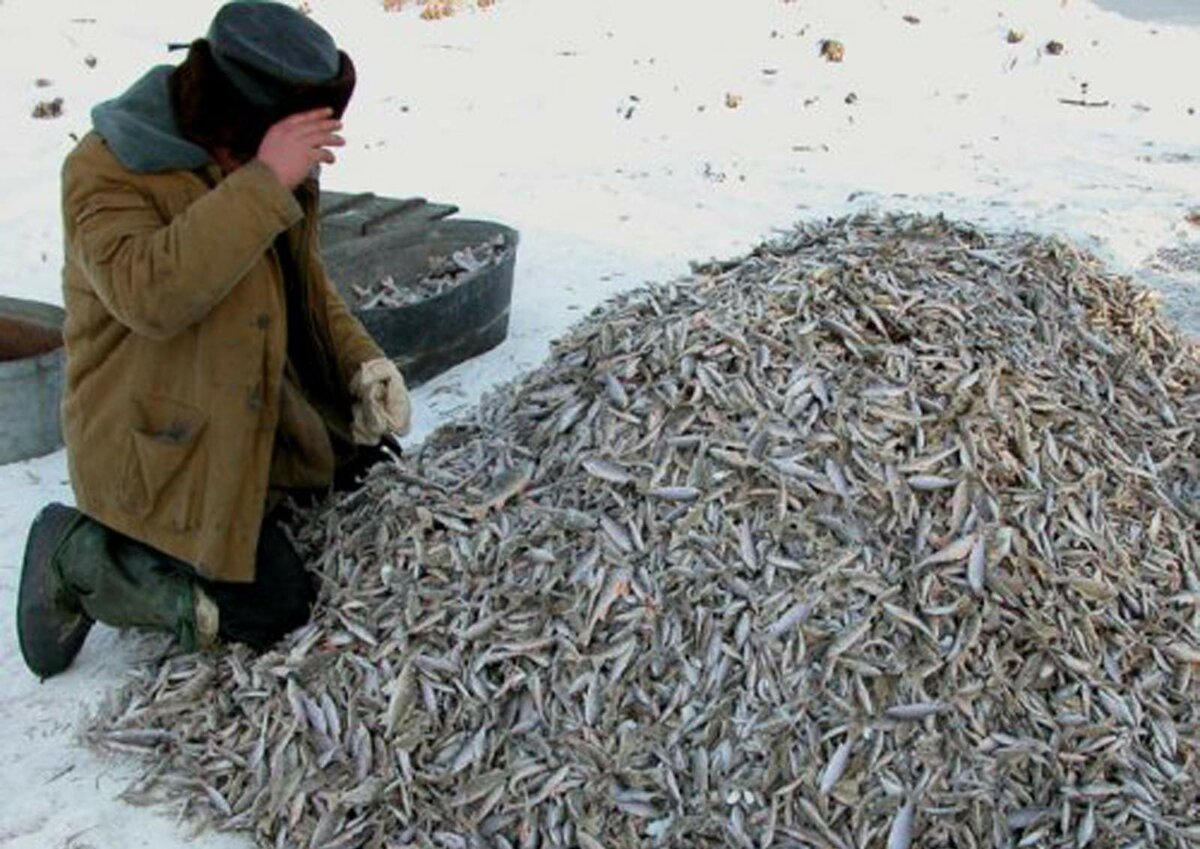 Разведка на новом водоёме