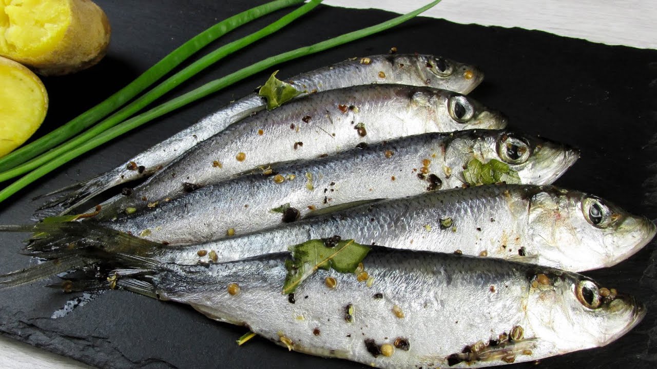 Салака — польза и вред небольшой и вкусной рыбки