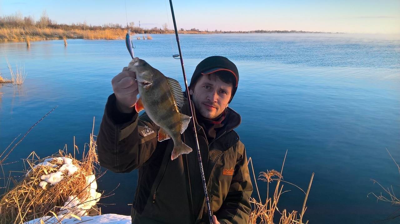 Рыбалка в балаково на волге, сбросном канале и других водоемах, какая рыба водится
