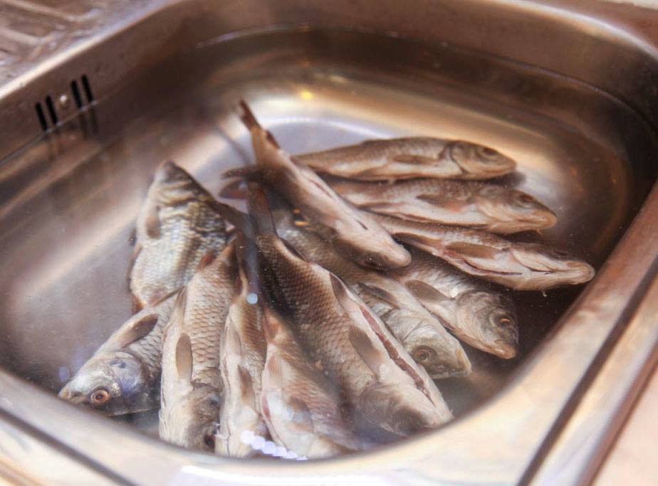Способы вымачивания соленой рыбы