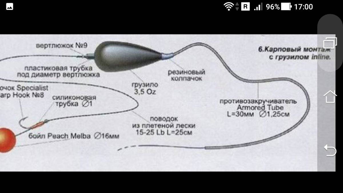 Монтажи для ловли карпа (оснастки карпфишинга)