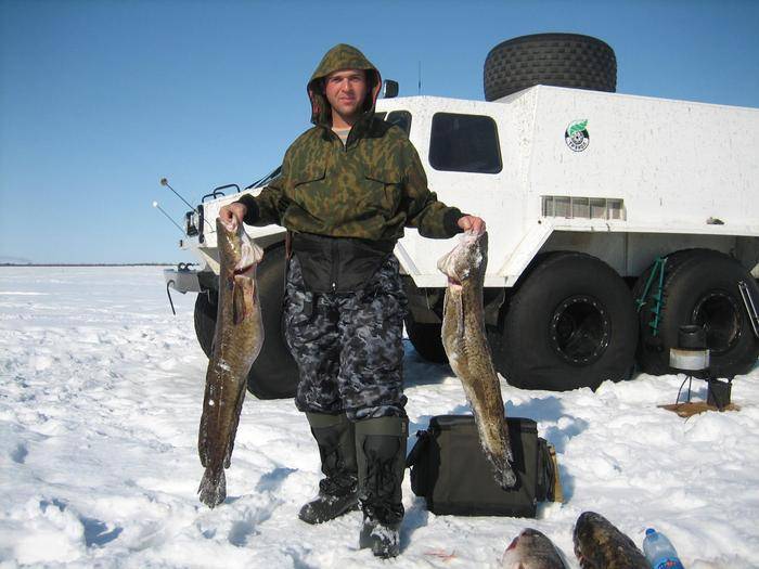 Рыбалка в чукотском автономном округе и в анадыре