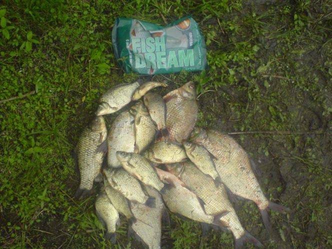 Рыбалка на яузском водохранилище: лучшие места, какая рыба ловится