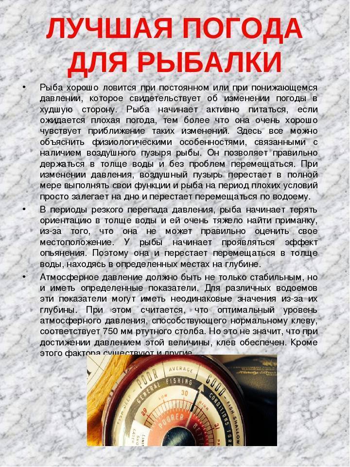 В какое время и в какую погоду лучше ловить рыбу