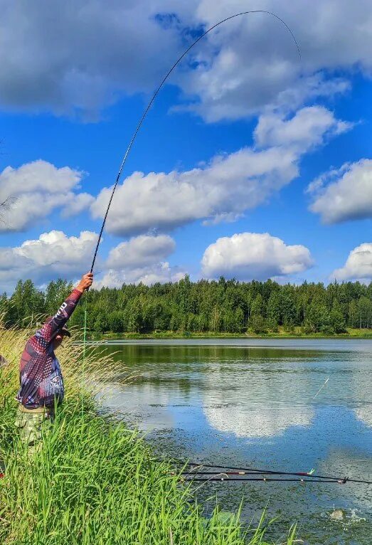 Рыбалка в подмосковье бесплатно — водоемы в районах области