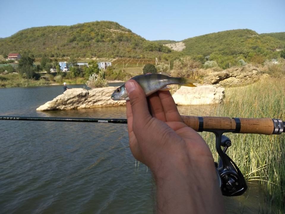 Рыбалка в крыму (морская и на озерах), где можно ловить с берега в январе