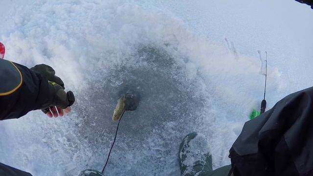 Рыбалка по первому льду: особенности ужения и меры безопасности