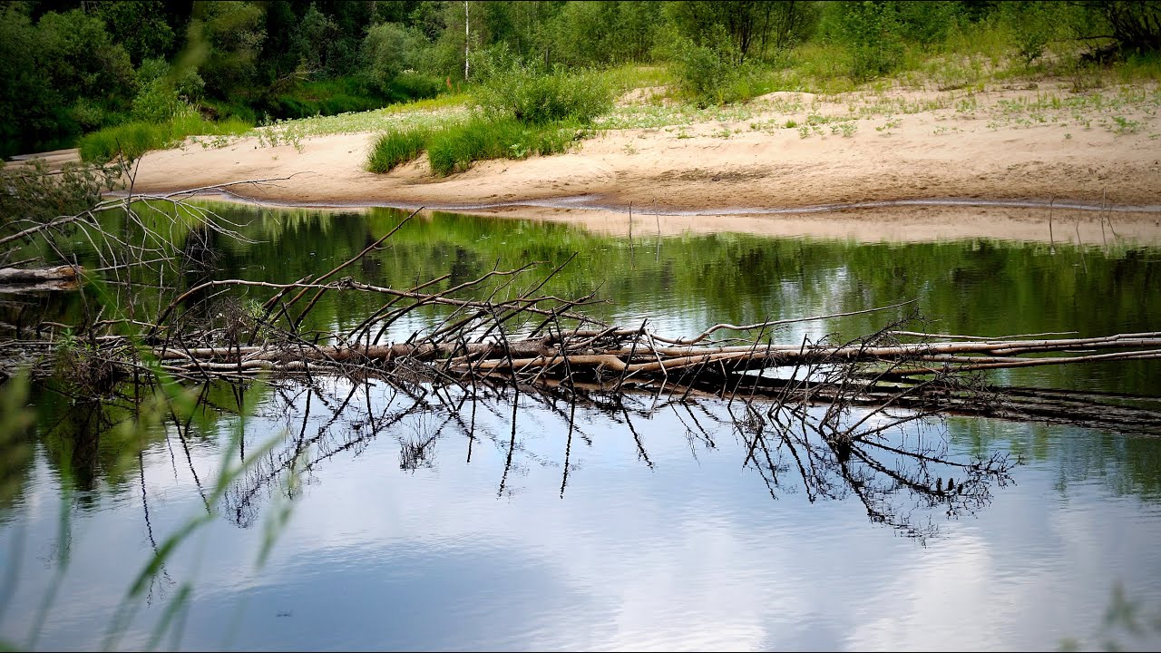 🌊река или: притоки, исток, устье, карта, фотогаллерея