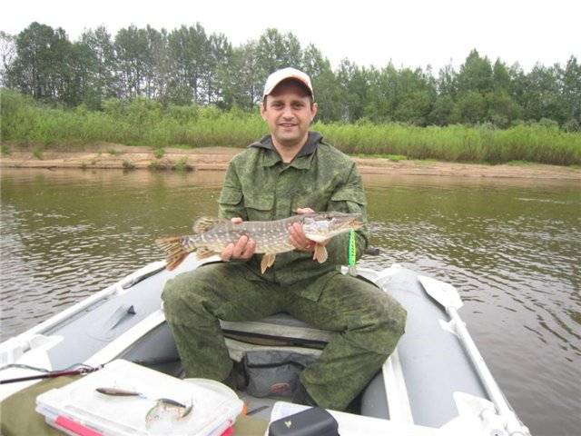 Реки. днепр и его притоки, бассейн днепра, днепровский лиман. какая рыба водится в днепре