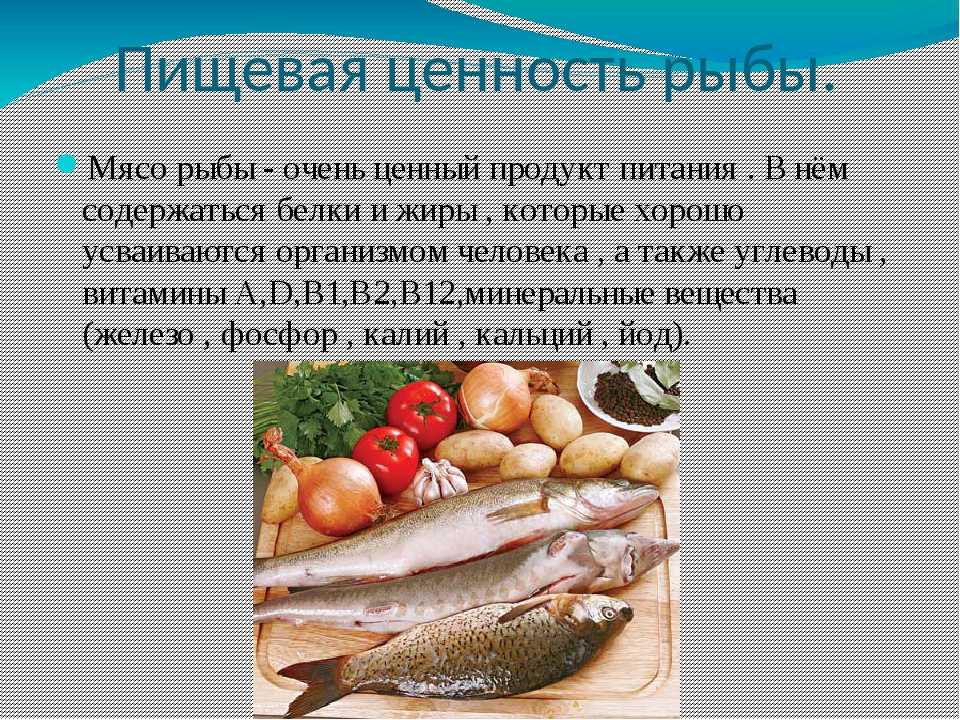 Толстолобик: костлявый или нет, калорийность, жирная рыба или нет