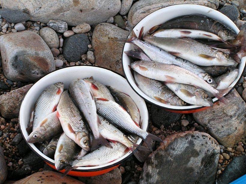 Морская рыбалка в калиниградской области с андреем