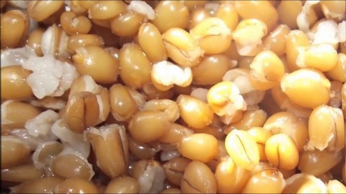 Как запарить пшеницу для рыбалки: в кастрюле и термосе, способы приготовления