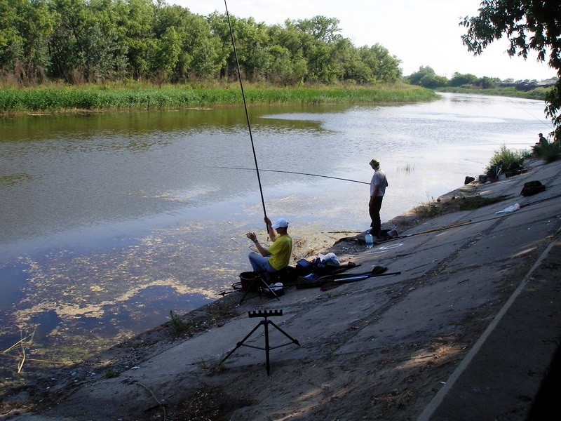 Рыбалка в Курганской области: лучшие места на карте ТОП-10