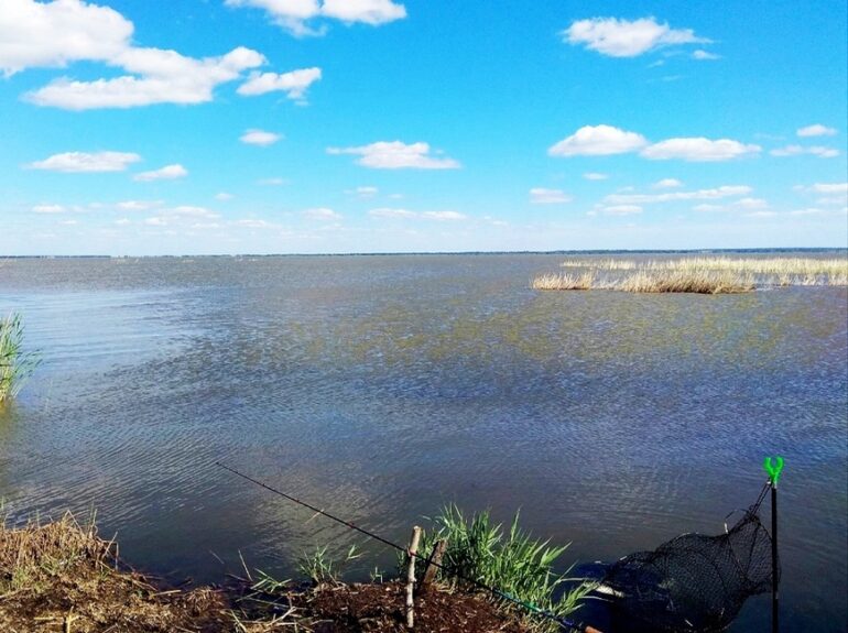 15 лучших рыболовных мест в ростовской области. бесплатные и платные