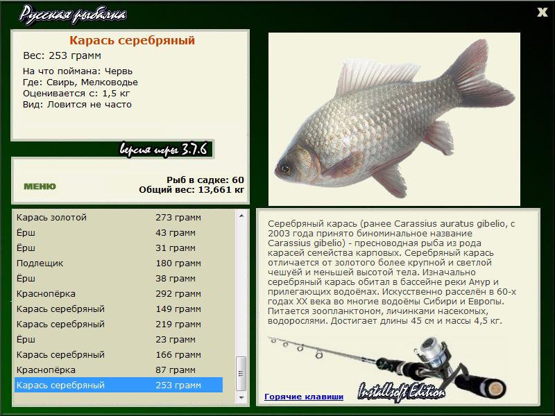 Карп рыба. образ жизни, среда обитания и как приготовить карпа