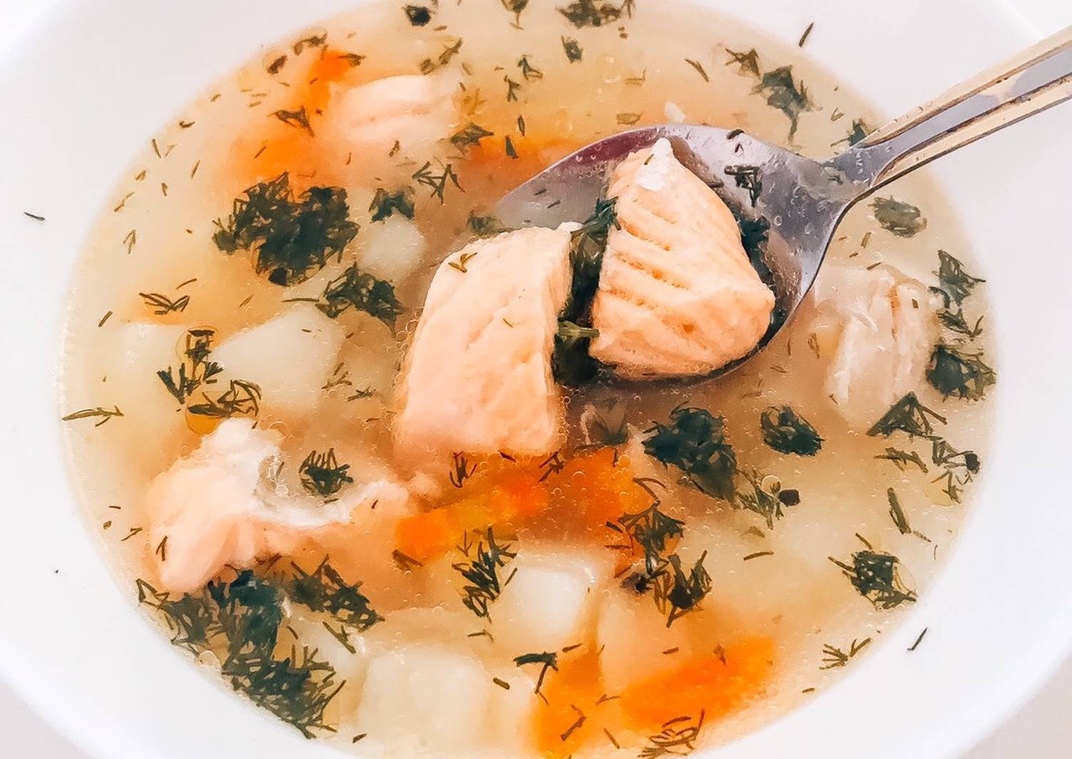 Уха из головы и хвоста горбуши — простые и вкусные рецепты рыбного супа из горбуши
