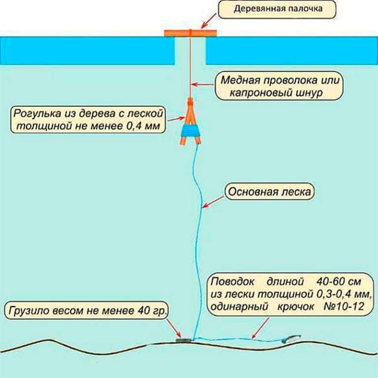 Береговая ловля налима осенью: снасти, оснастка, поиск рыбы и наживка