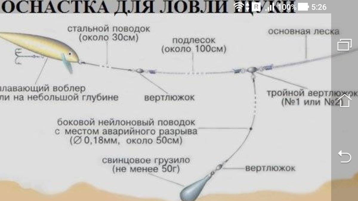 Ловля судака в июле на спиннинг: где ловить, снасти, приманки