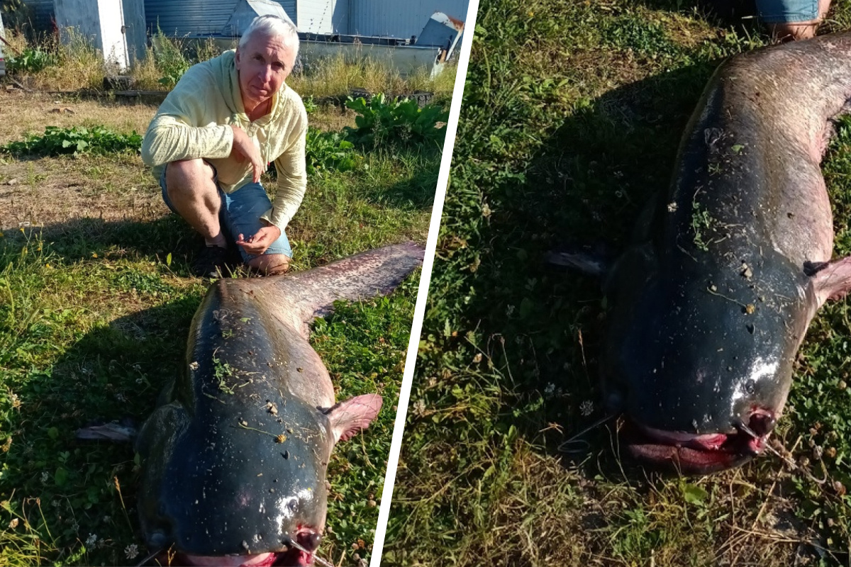 Клев рыбы в донецкой области – суперулов – интернет-портал о рыбалке