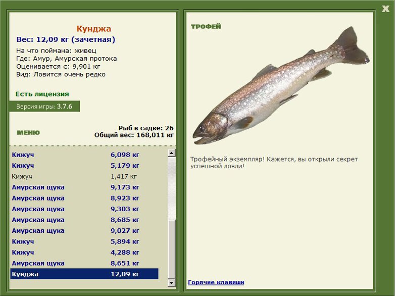 Рыба кунджа: ареал обитания, полезные свойства, рецепты приготовления