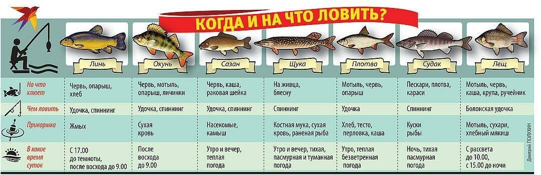 Места для рыбалки в белгородской области – платная и бесплатная рыбалка!