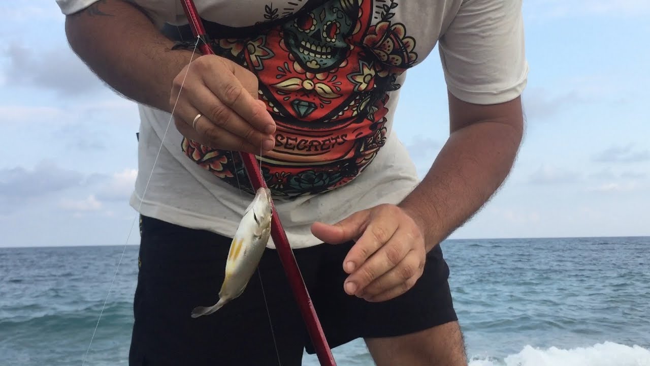 Морская рыбалка – ловля на море. снасти для морской рыбалки