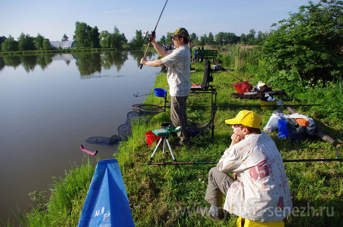 Платная рыбалка в ивановской области -по областям -рыбалка в ивановской области -рыбалка
