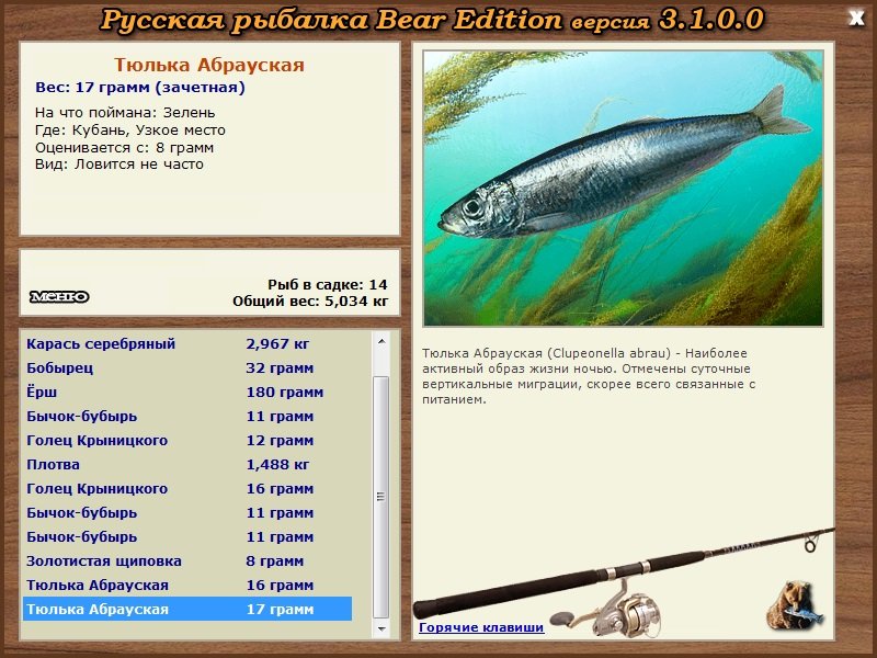 Группер чёрный фото и описание – каталог рыб, смотреть онлайн