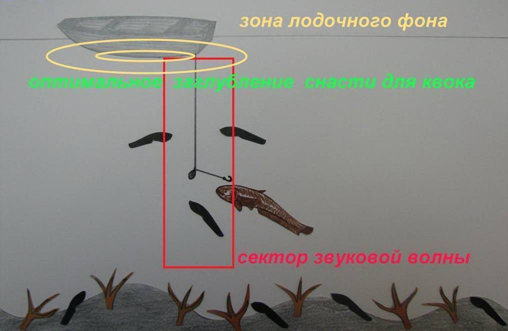 Нижняя волга – ловля крупного сома и сазана - рыбалка в россии и по всему миру - fishers-spb.ru