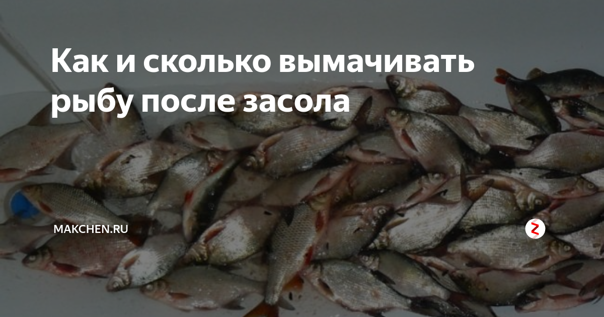 Можно ли вялить рыбу на солнце. все секреты правильной засолки и вяления рыбы в домашних условиях