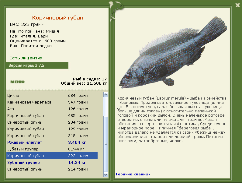 Белуга рыба: каких размеров самая большая белуга