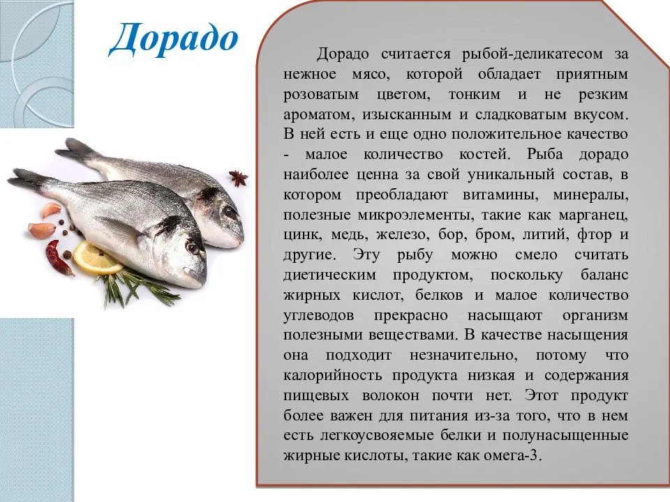 Сибас - полезные свойства рыбы и калорийность, рецепты приготовления блюд с фото