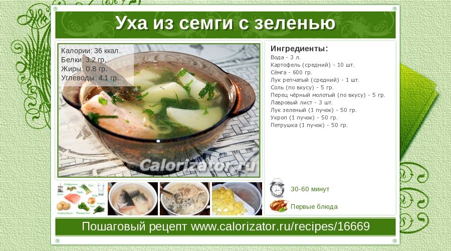 Уха из щуки в домашних условиях — самый вкусный рецепт