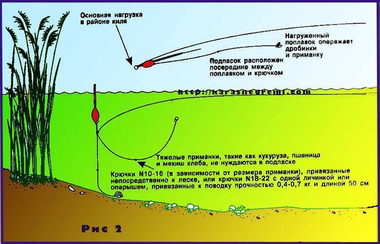 Классическая ловля линя на удочку и донку