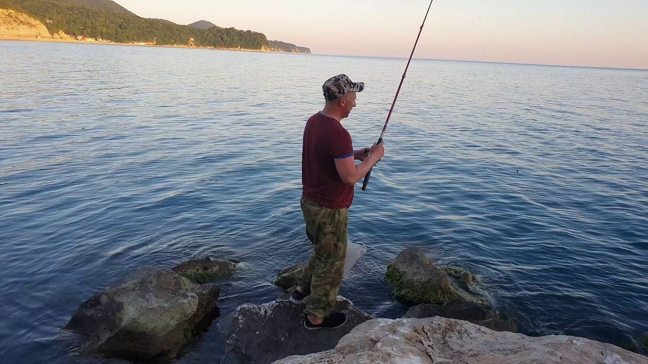 Морская рыбалка в сочи с берега. на что ловить ставридку и кефаль с берега?