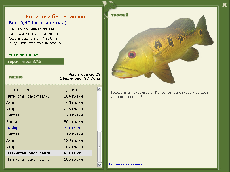 Рыба «калико басс» фото и описание