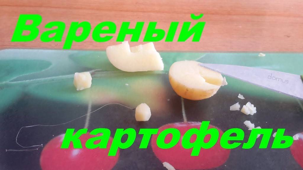 На что ловить карпа – лучшие растительные и животные насадки