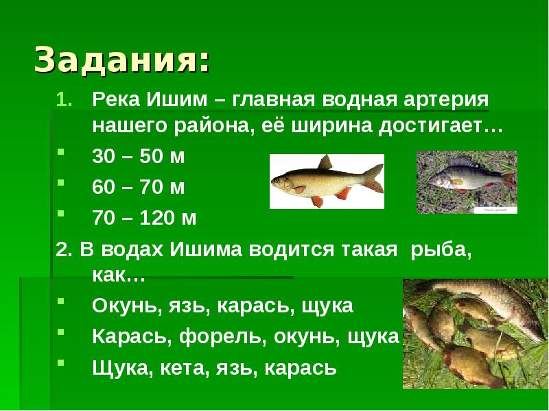 Рыбалка в ишиме и ишимском районе: лучшие места для ловли, какая рыба водится в реке