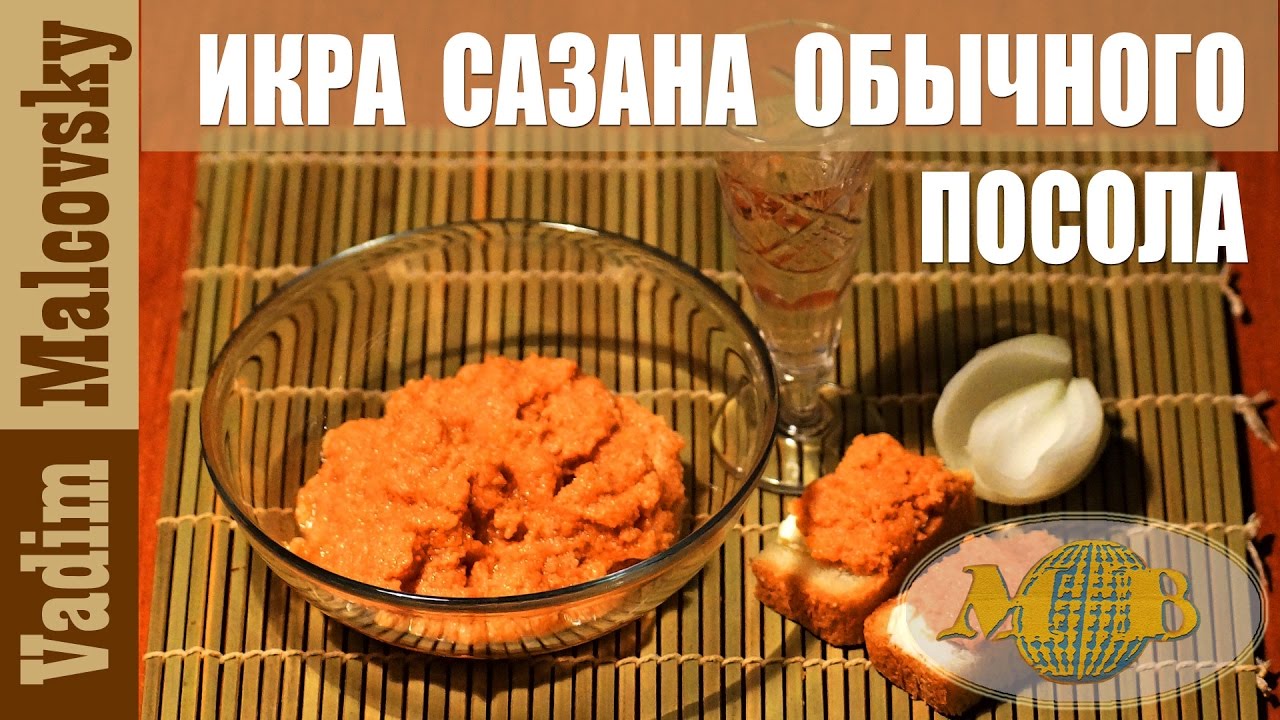 Как приготовить икру сазана в домашних условиях? 6 рецептов приготовления икры