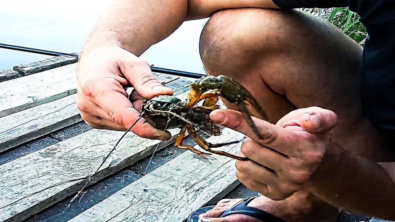 Как и где нужно ловить раков: способы и советы