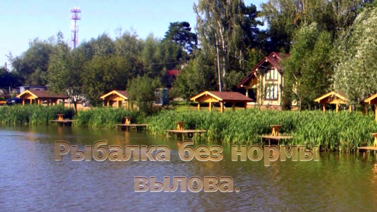 Рыбалка и отдых на пятницком шоссе: светлые горы, соколово, истринское водохранилище
