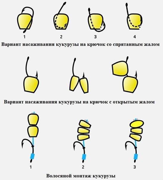 Как правильно насадить кукурузу на крючок
