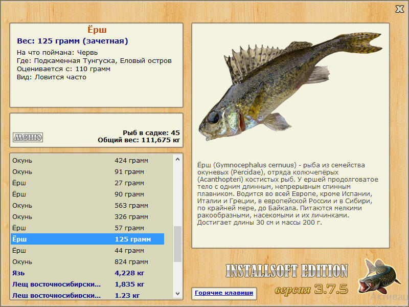 Рыба ёрш