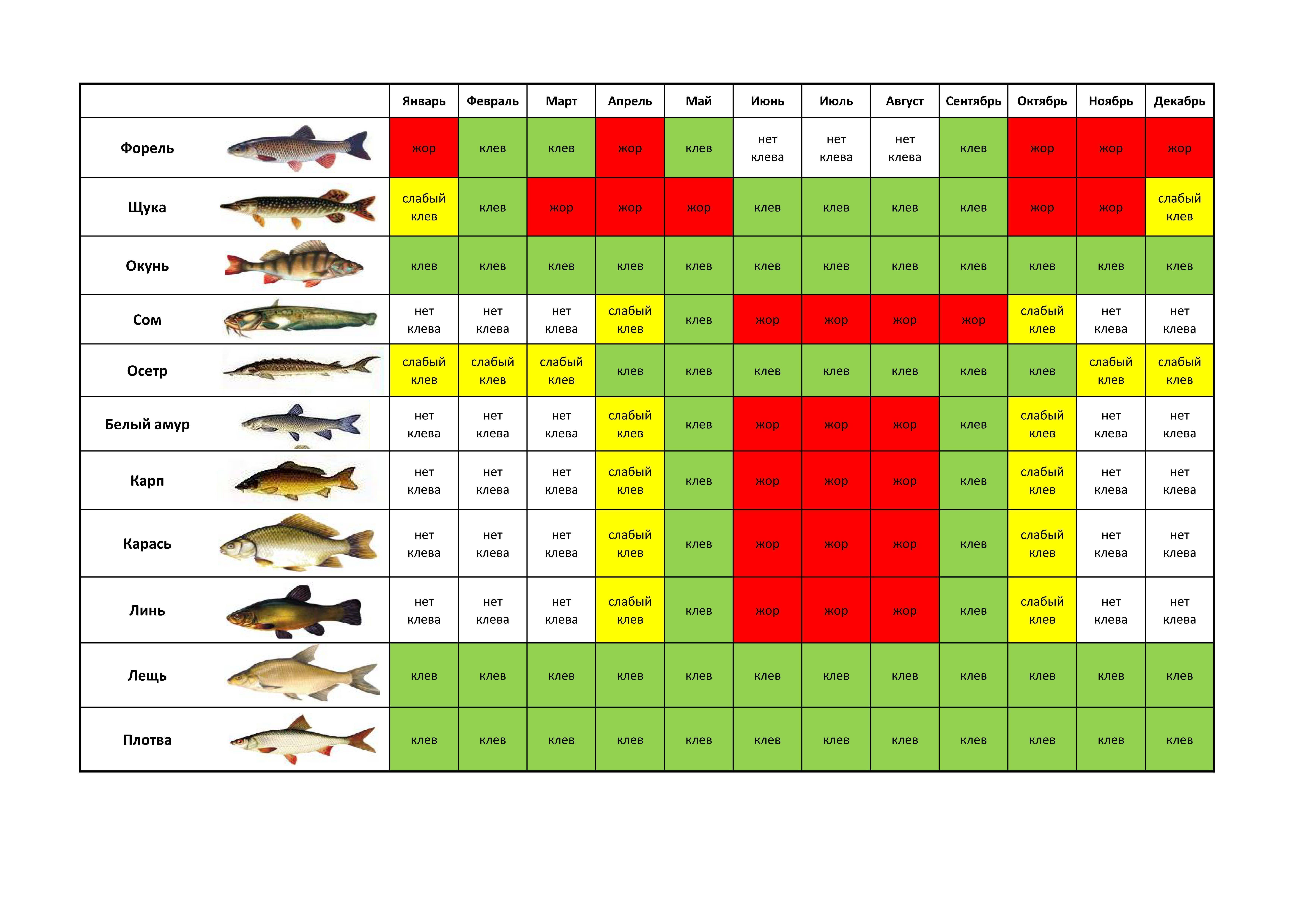 Штраф за ловлю рыбы в запрет в 2018