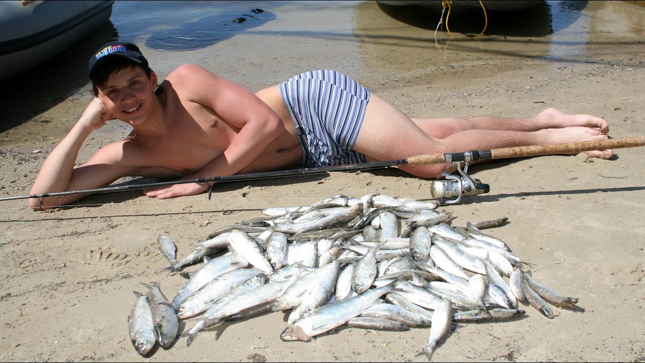Шамайка – редкая азовская рыба