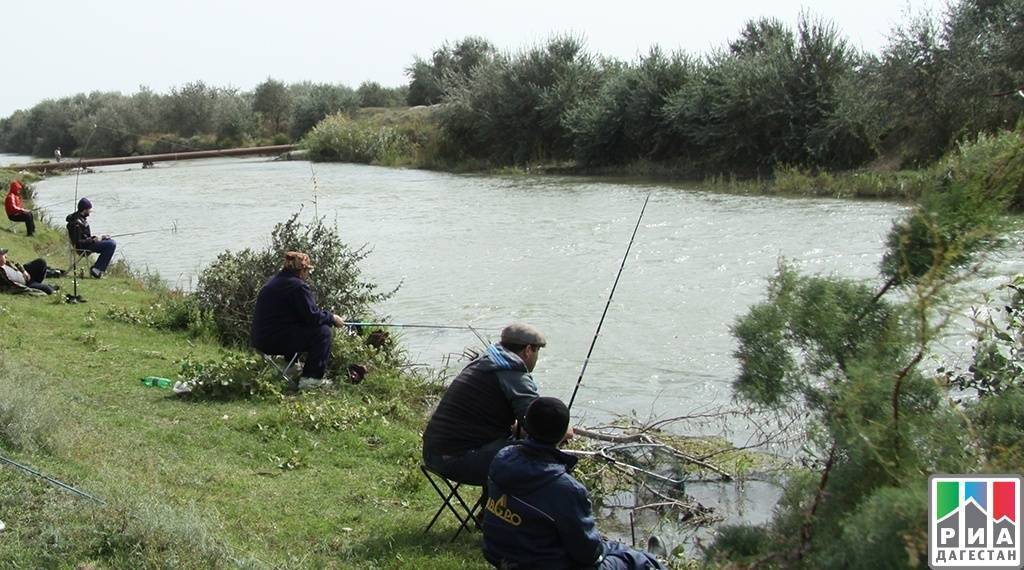 Места для рыбалки в карачаево-черкесской республике – платная и бесплатная рыбалка!