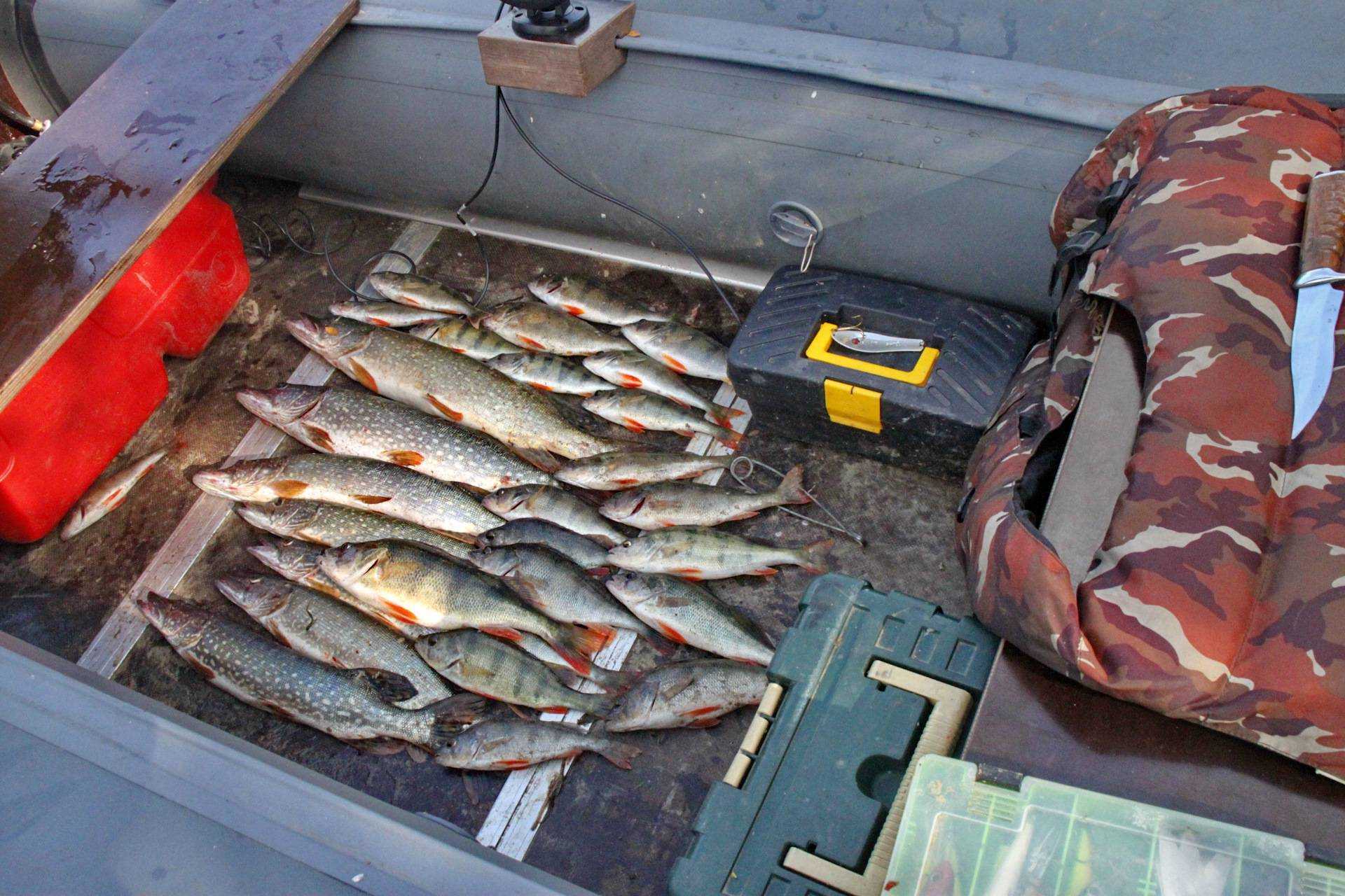Рыбалка в карелии: куда отправиться, рекомендации местных, что взять с собой